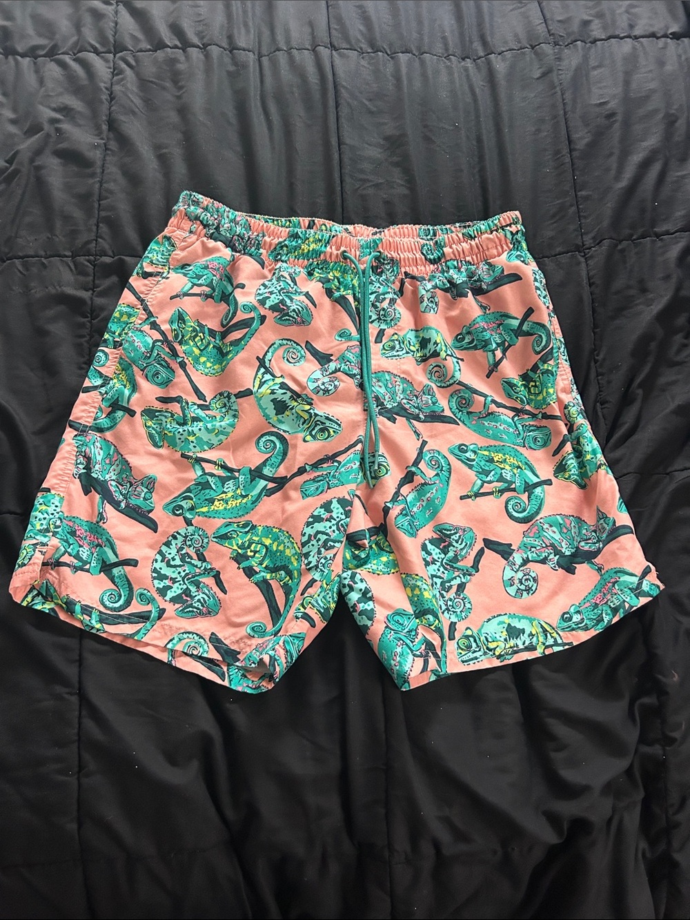 Men's Coral Swim Trunks with Teal Chameleon Print - M